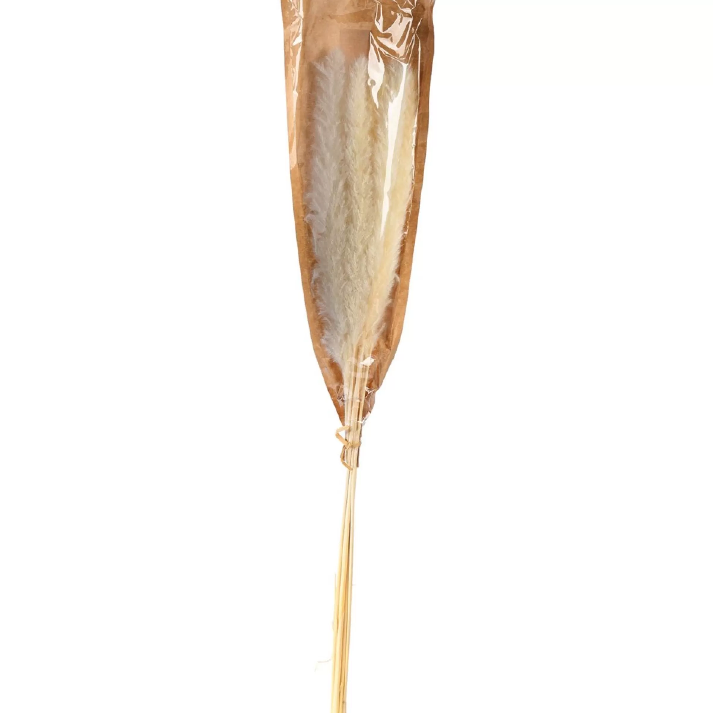 fagot_sec_dherbe_de_la_pampa_4.webp Depot Fagot Sec D'Herbe De La Pampa Flash Sale