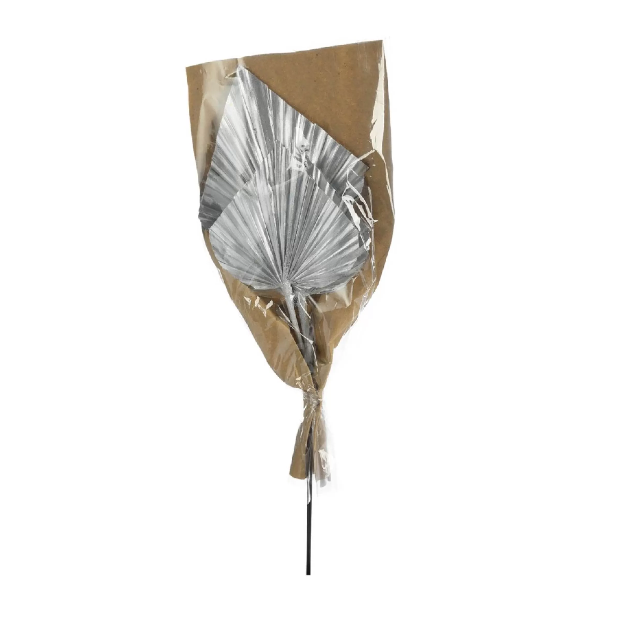 fleurs_sechees_palmleaf_3-3.webp Depot Fleurs Sechees Palmleaf Discount