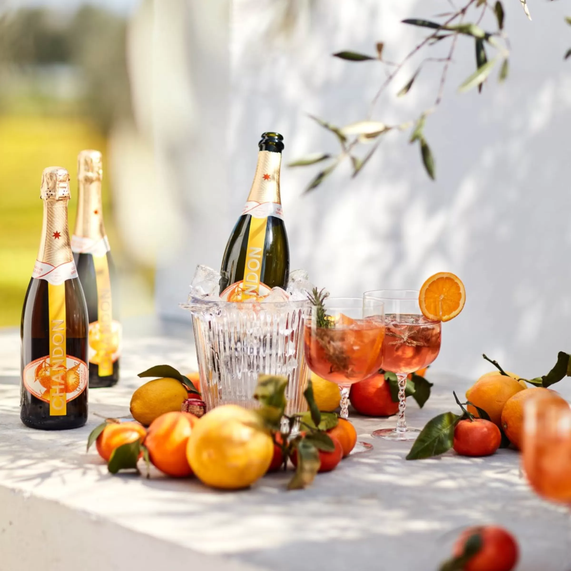 refroidisseur_de_bouteille_optique_1.webp Depot Refroidisseur De Bouteille Optique Clearance